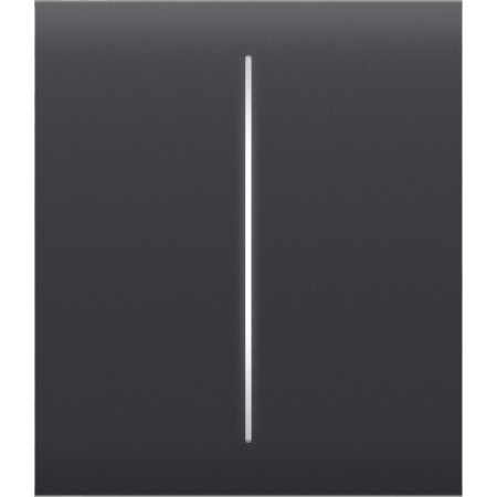 AJAX Button (graphite) CenterButton (2-gang)