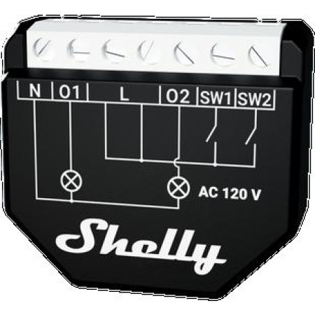 Shelly Qubino Wave 2PM