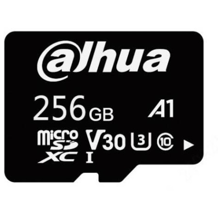 Karta pamięci microSD DAHUA TF-L100-256GB