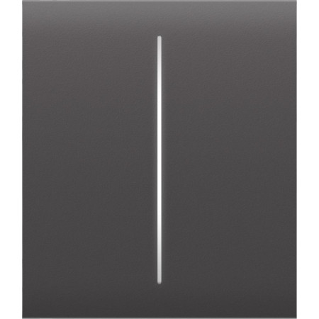AJAX Przycisk (grey) CenterButton (2-gang)
