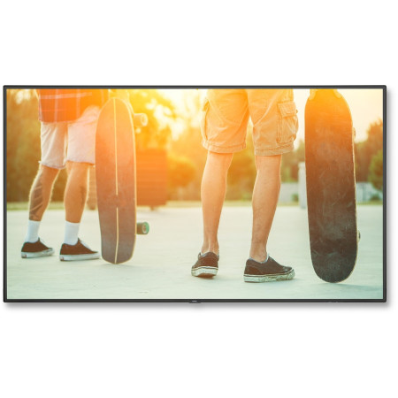 Monitor LED NEC V754Q 75 cali